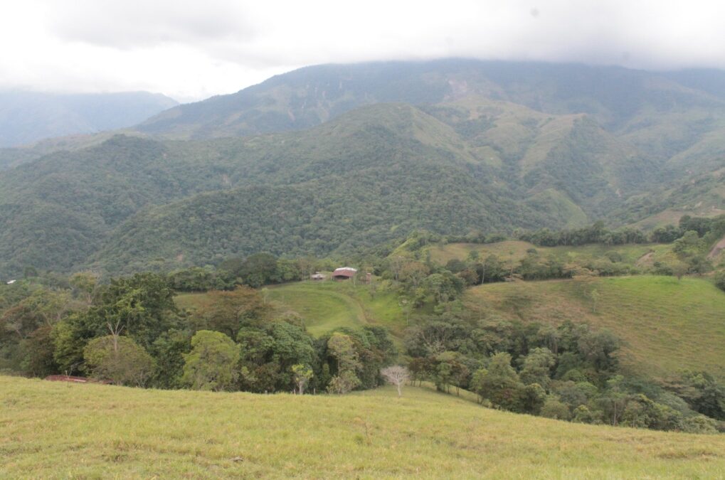 VENTA DE FINCA EN RESTREPO META CV 00009