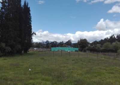 CV-00046 LOTE 2