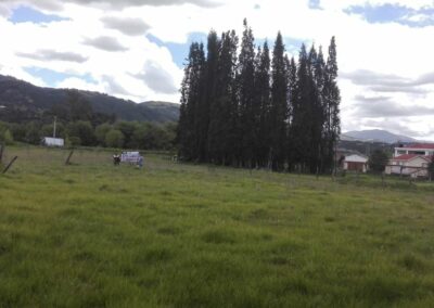 CV-00046 LOTE 3